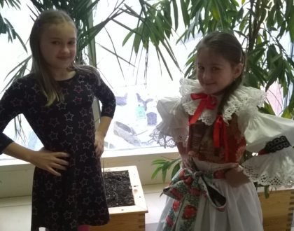 O hanáckýho kohóta